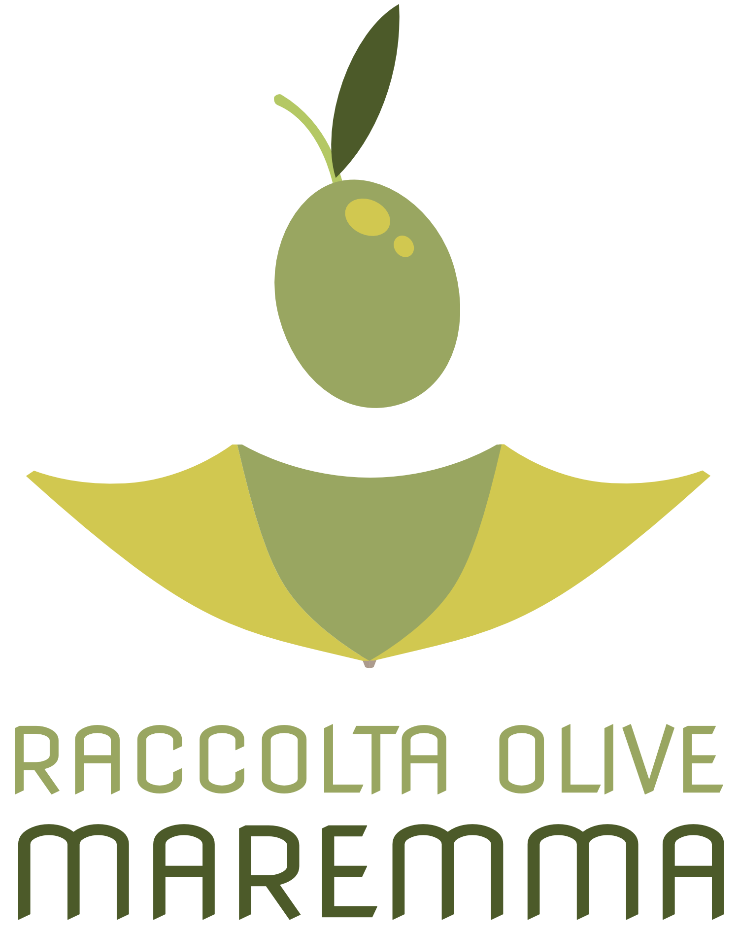 Raccolta Olive in Maremma